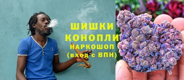 ГАЛЛЮЦИНОГЕННЫЕ ГРИБЫ Баксан