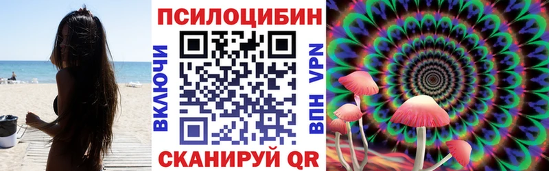 Псилоцибиновые грибы GOLDEN TEACHER  Лабинск 